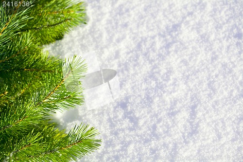 Image of Winter forest background