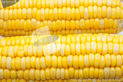 Image of Corn-cob