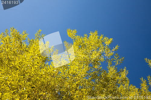 Image of Autumn landscape