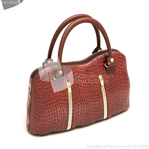 Image of Crocodile leather handbag isolated