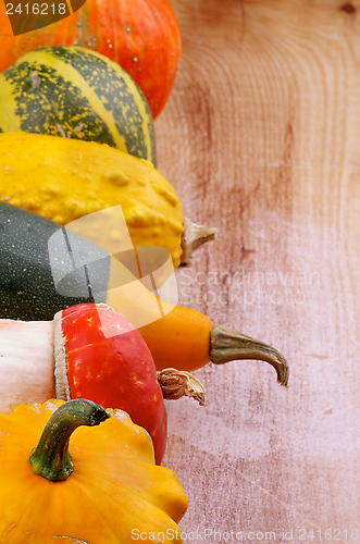 Image of Frame of Squash