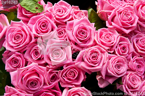 Image of roses background