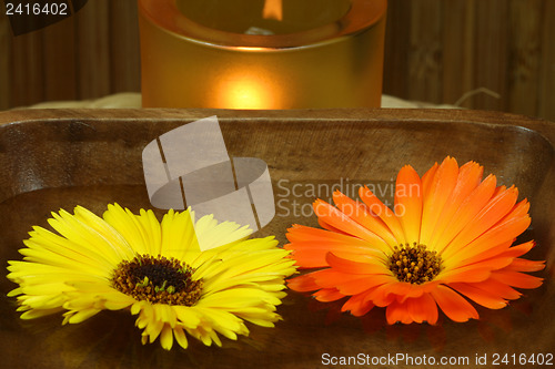 Image of Marigold floating