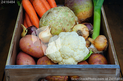 Image of Root vegetables