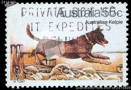 Image of Stamp printed in Australia shows Australian Kelpie Dog