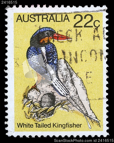 Image of Stamp printed in Australia shows image of a white tailed kingfisher