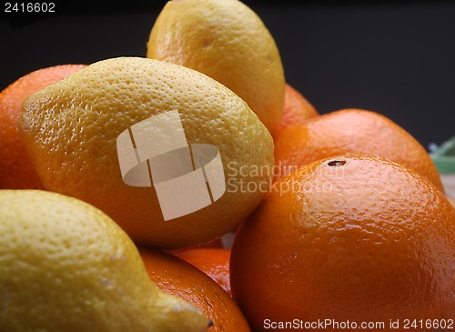 Image of Citruses: lemons and oranges
