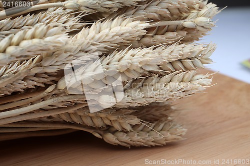 Image of Wheat