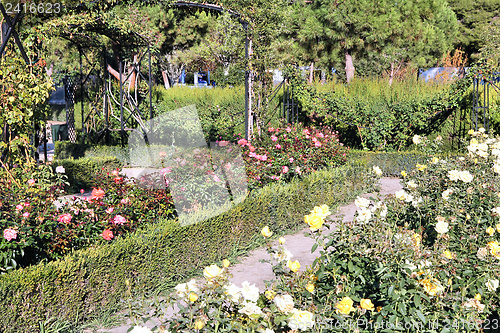 Image of Retiro Park, Madrid