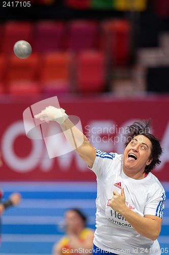 Image of European Indoor Athletics Championship 2013