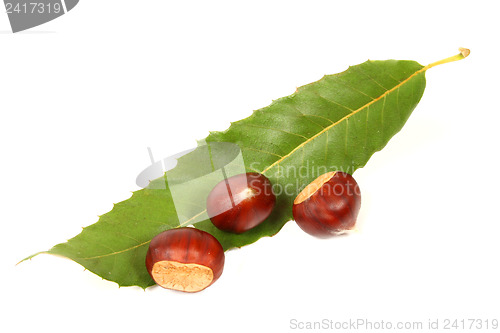 Image of Chestnuts isolated