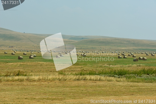 Image of summer landscape