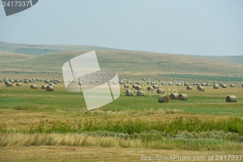 Image of summer landscape