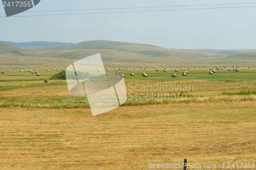 Image of summer landscape