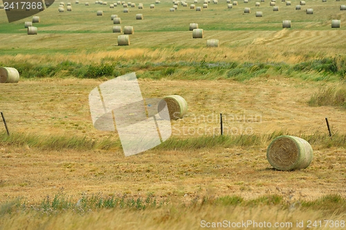 Image of summer landscape