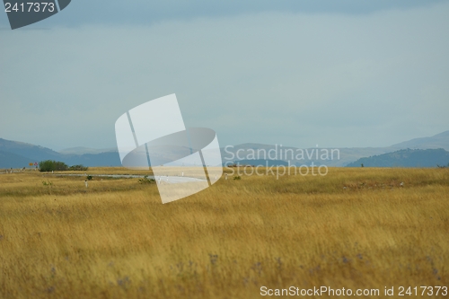 Image of summer landscape