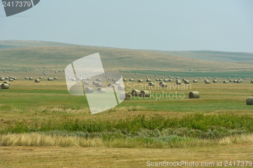 Image of summer landscape