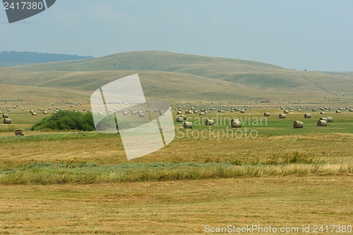 Image of summer landscape