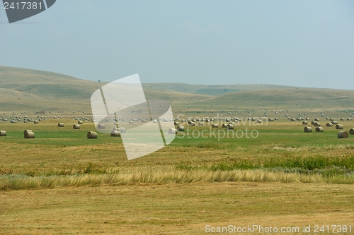 Image of summer landscape