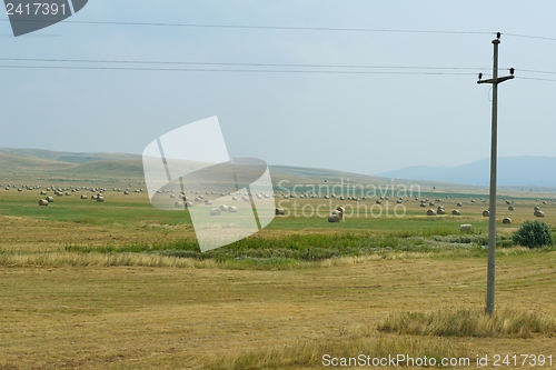 Image of summer landscape