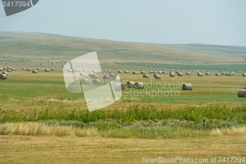 Image of summer landscape