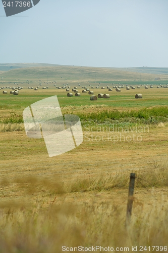 Image of summer landscape