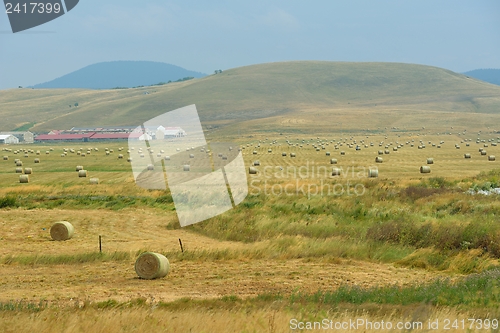 Image of summer landscape