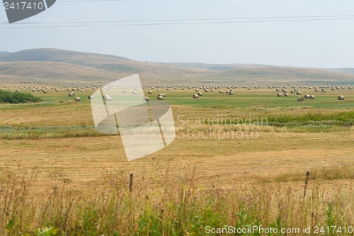 Image of summer landscape