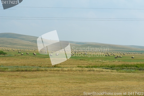 Image of summer landscape