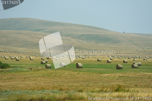 Image of summer landscape