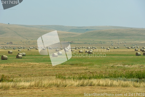 Image of summer landscape