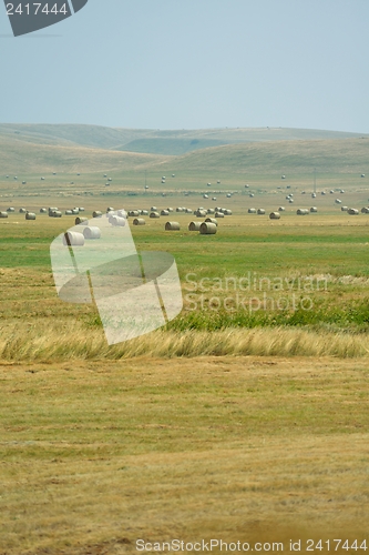 Image of summer landscape