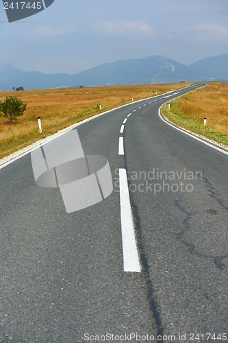 Image of road through the green field