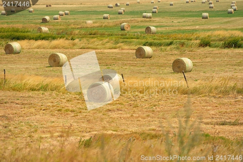 Image of summer landscape