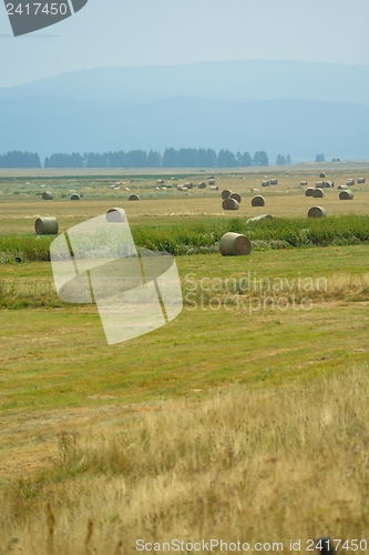 Image of summer landscape