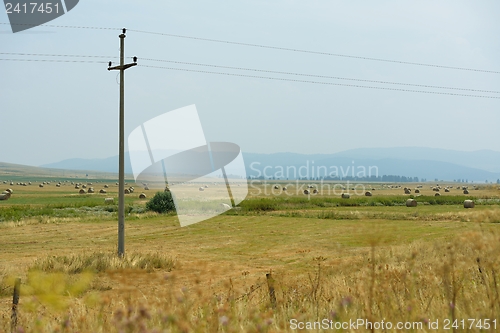 Image of summer landscape