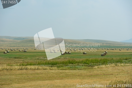 Image of summer landscape