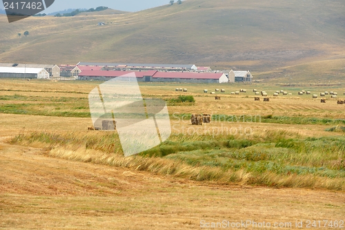 Image of summer landscape