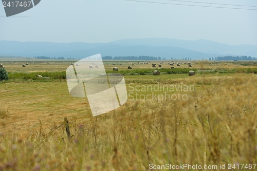 Image of summer landscape