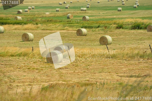 Image of summer landscape