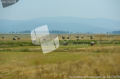 Image of summer landscape