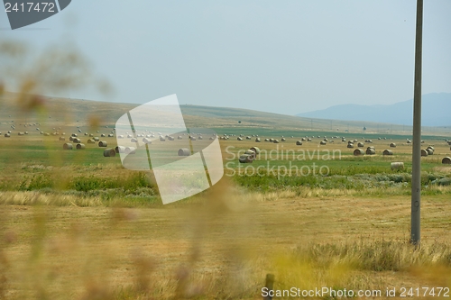 Image of summer landscape