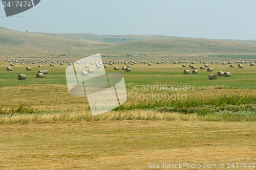 Image of summer landscape