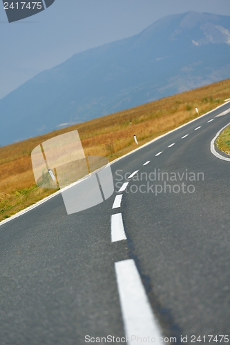 Image of road through the green field