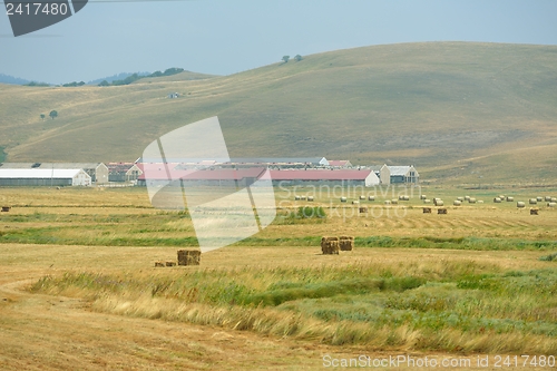 Image of summer landscape