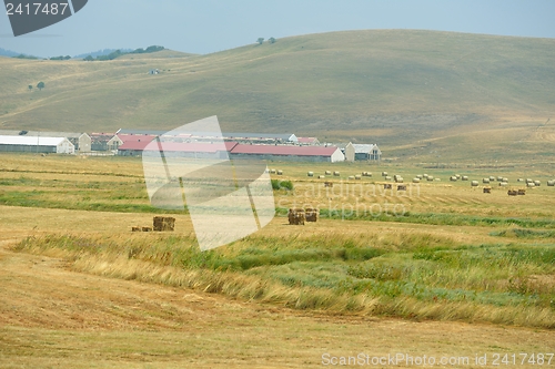 Image of summer landscape