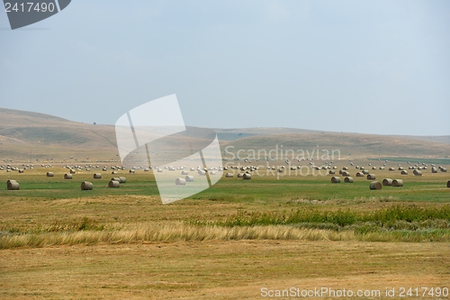 Image of summer landscape