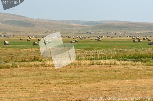 Image of summer landscape