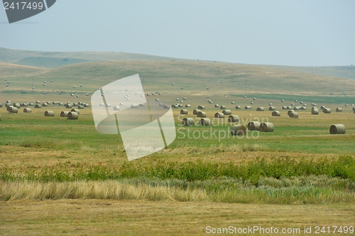 Image of summer landscape