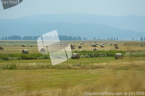 Image of summer landscape